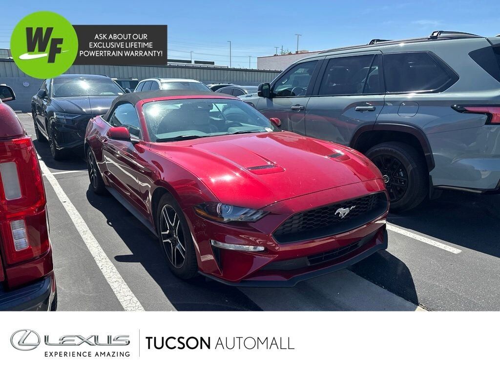 2019 FORD Mustang