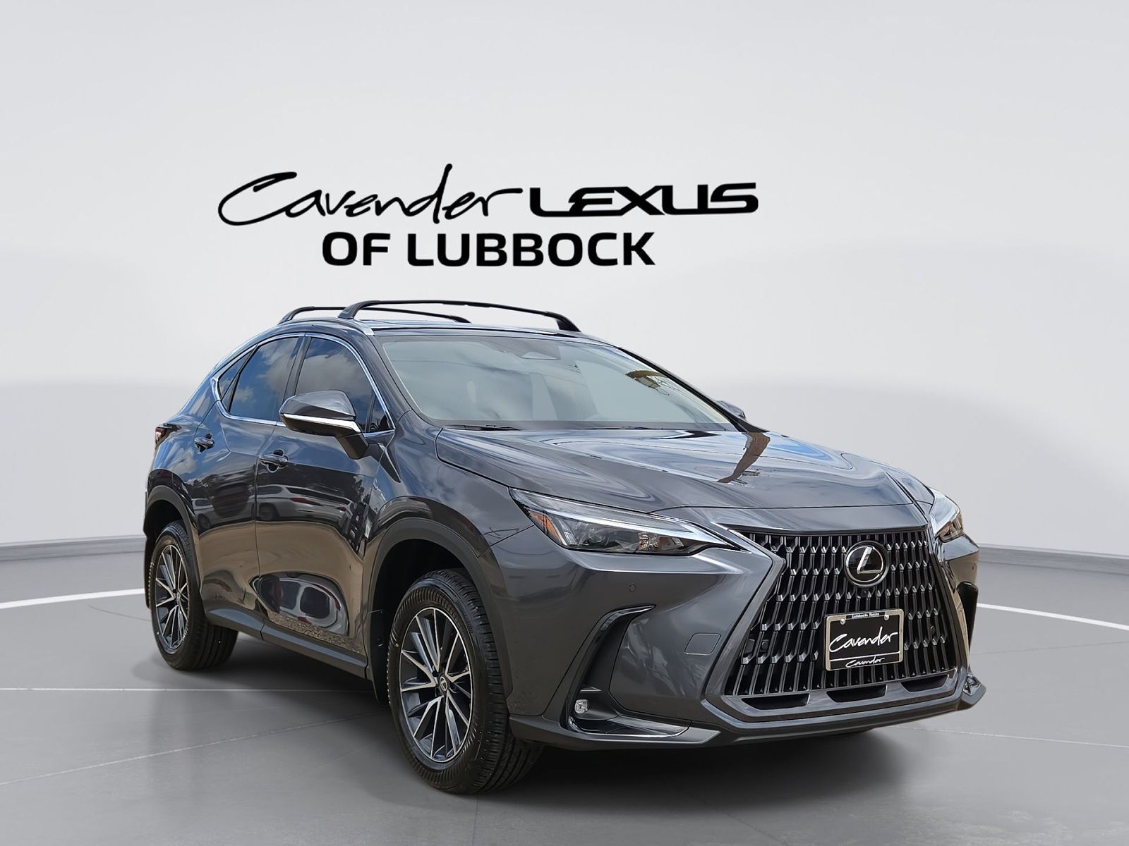 2026 LEXUS NX