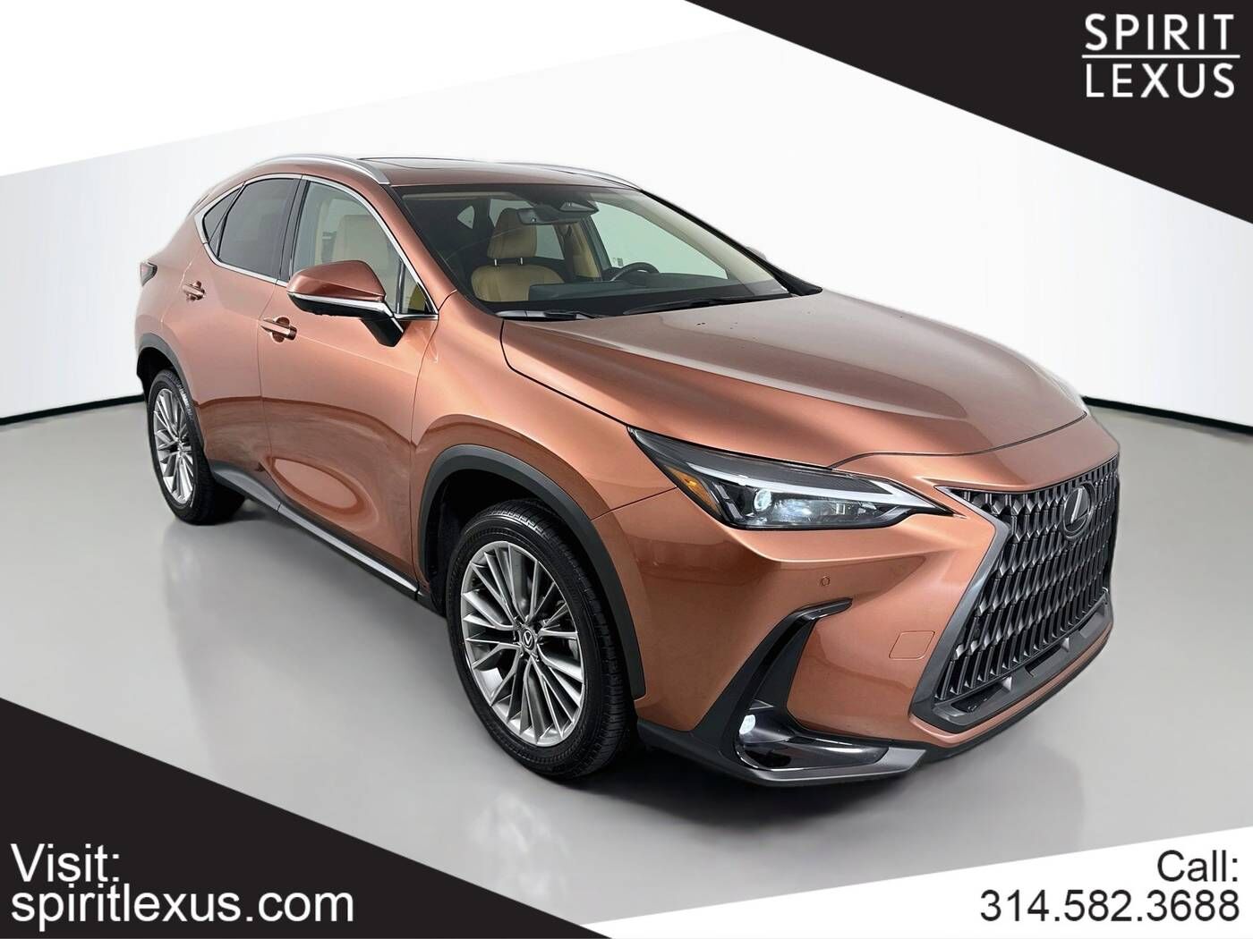 2025 LEXUS NX
