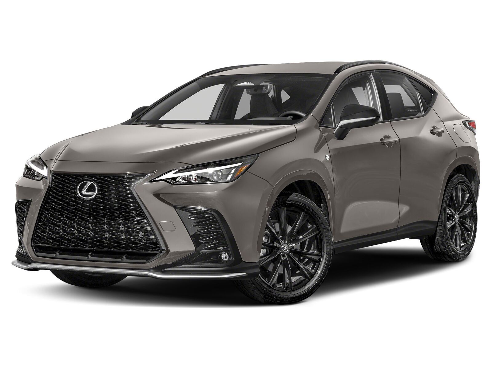 2024 LEXUS NX
