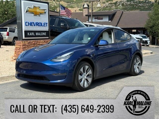 2020 TESLA Model Y