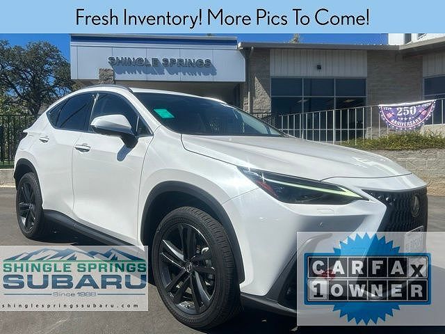 2024 LEXUS NX