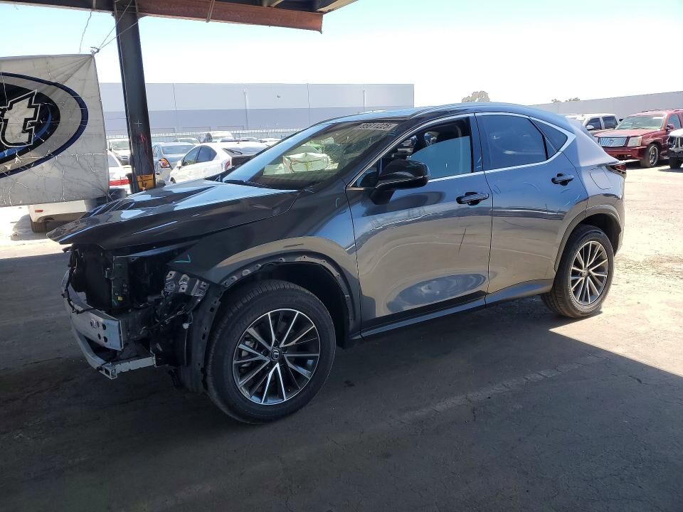 2024 LEXUS NX