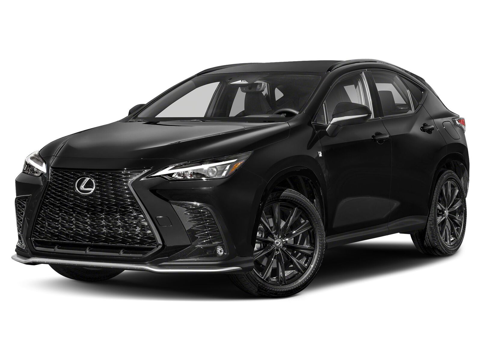 2024 LEXUS NX
