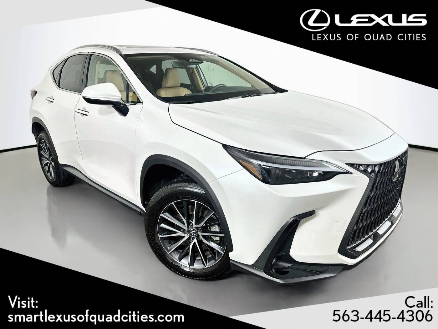 2024 LEXUS NX