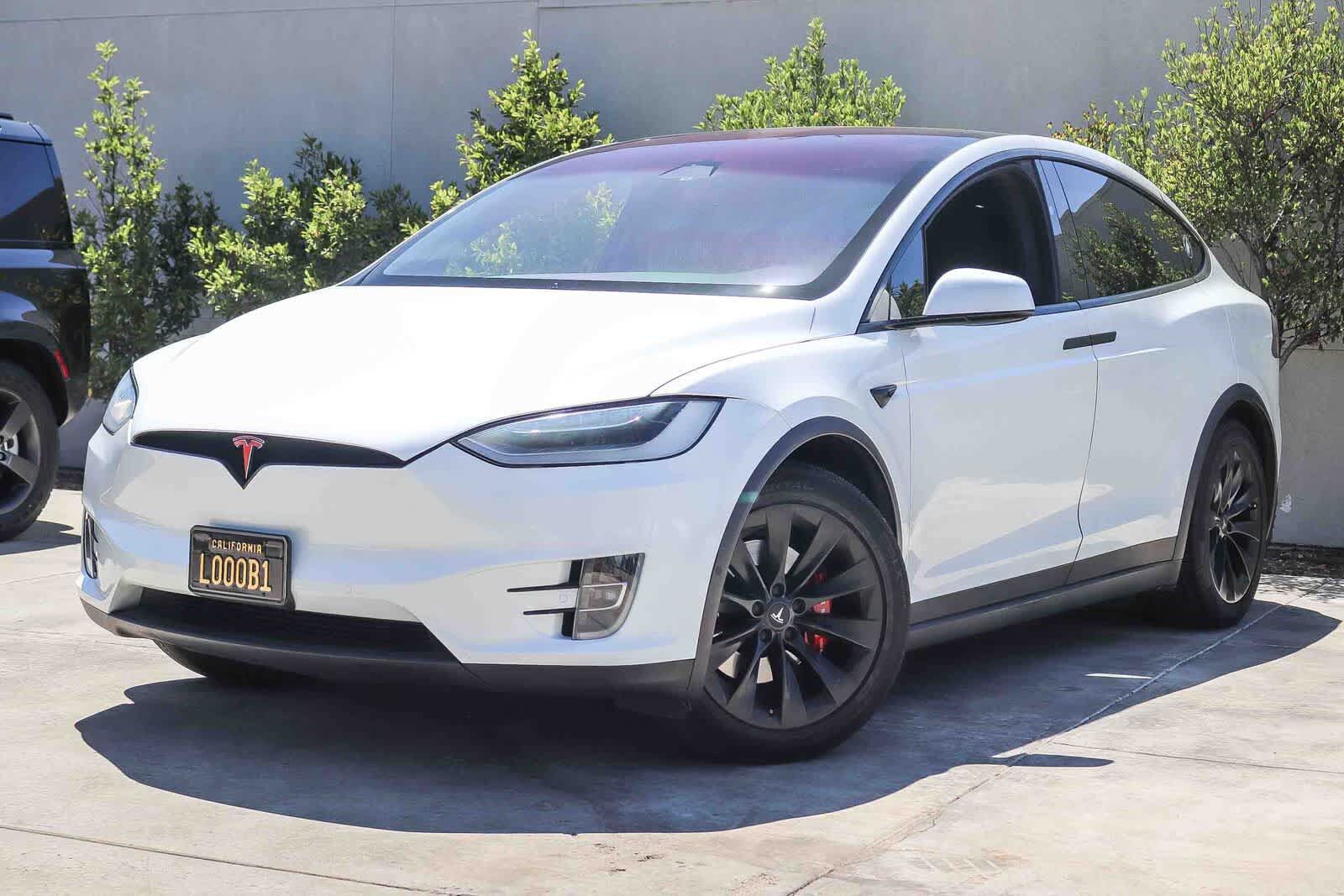 2019 TESLA Model X
