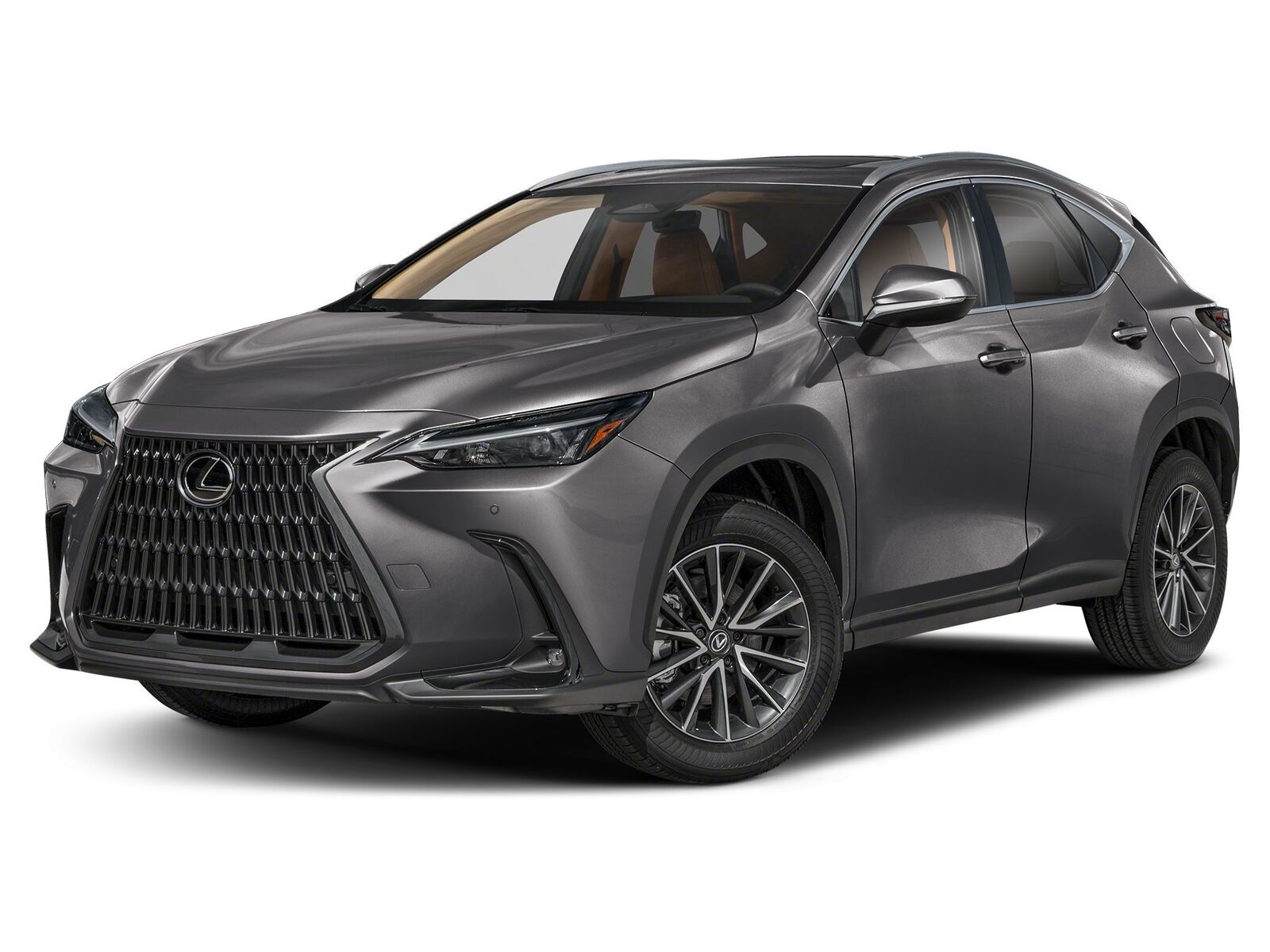 2025 LEXUS NX