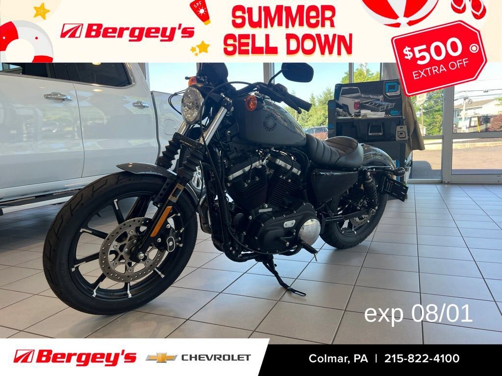 2022 HARLEY DAVIDSON Iron 883