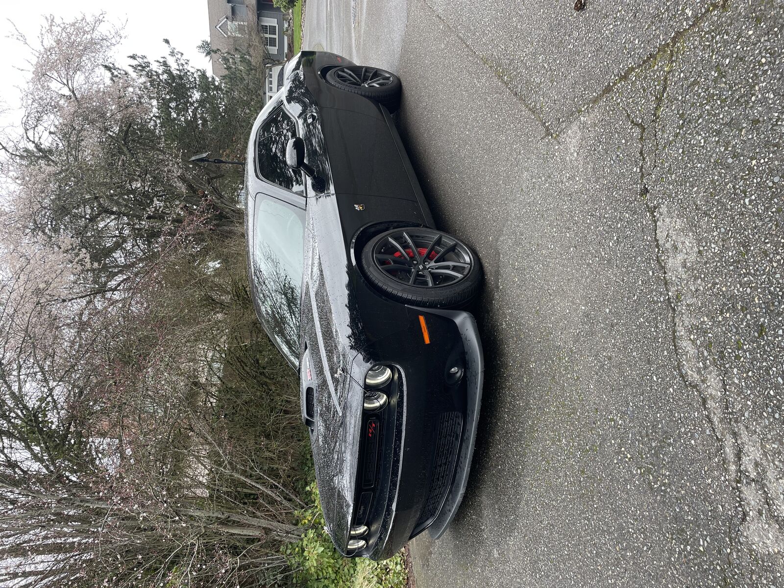 2021 DODGE Challenger
