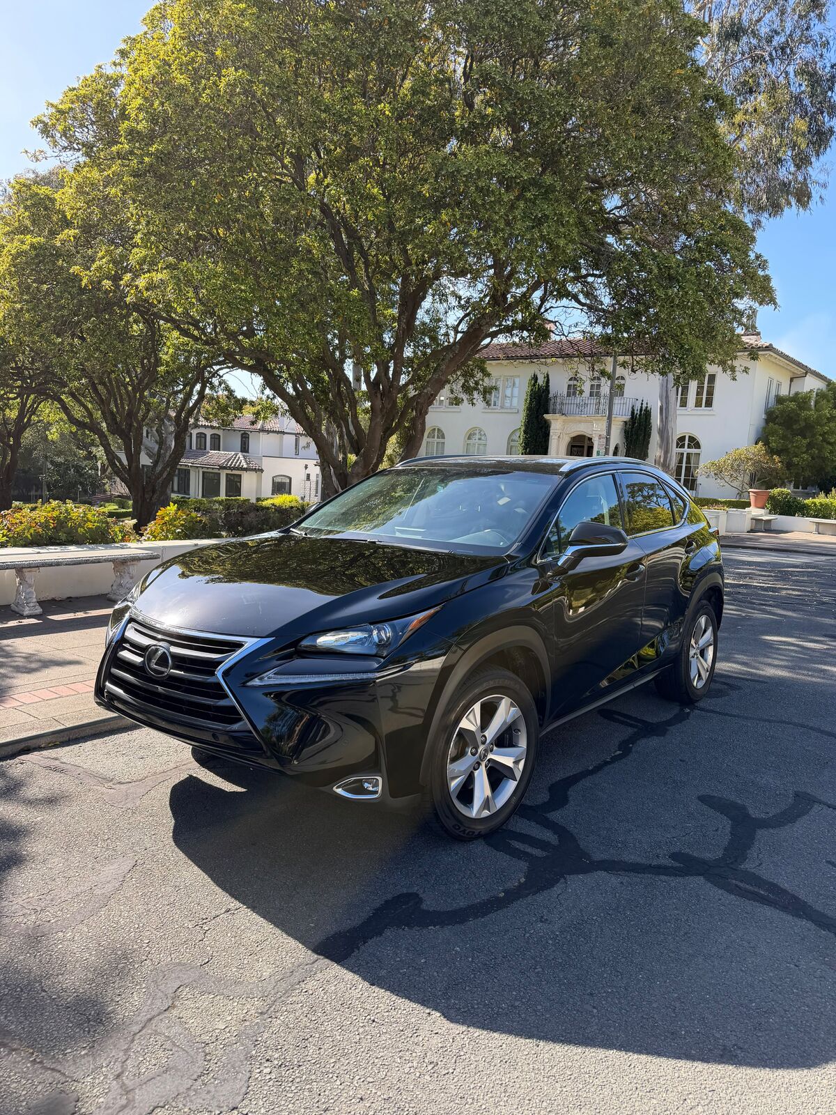 2017 LEXUS NX