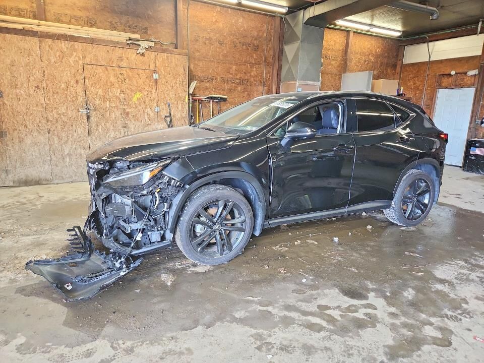 2025 LEXUS NX
