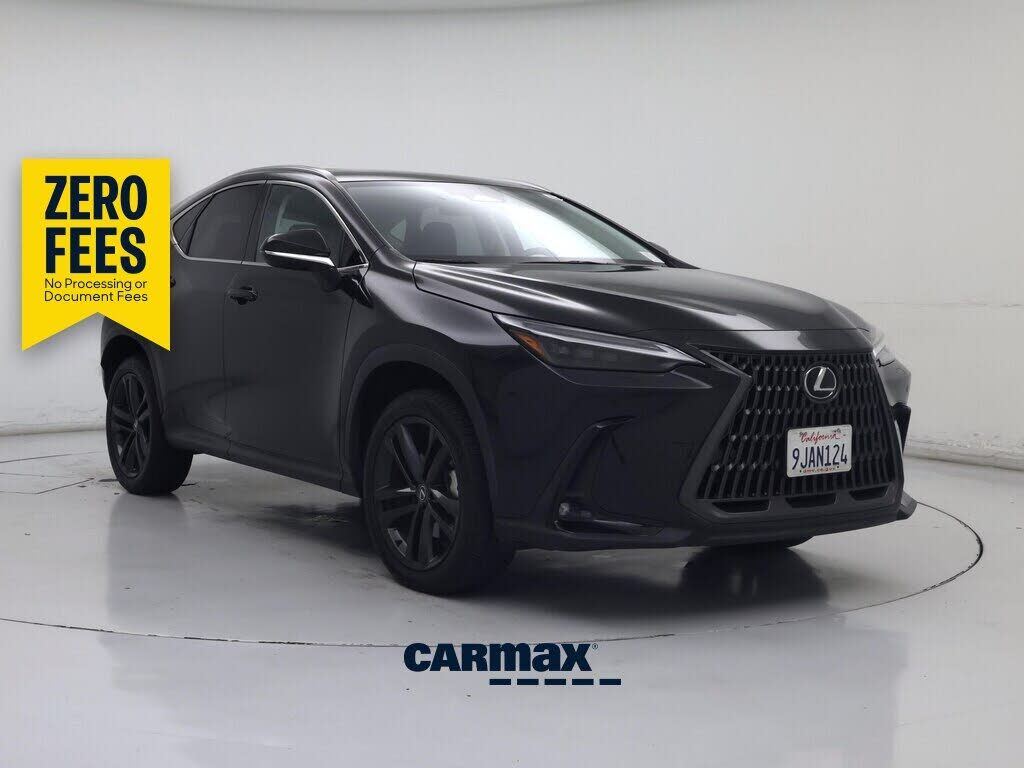 2024 LEXUS NX
