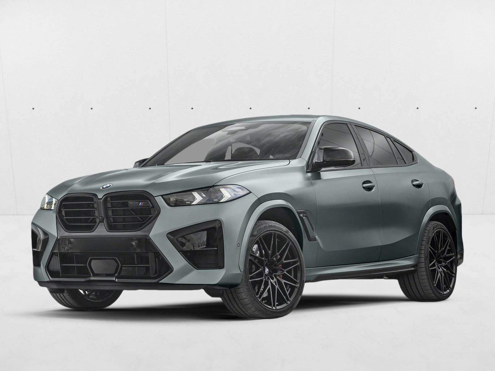 2024 BMW X6
