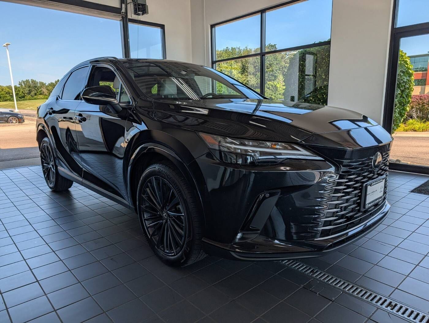 2024 LEXUS RX