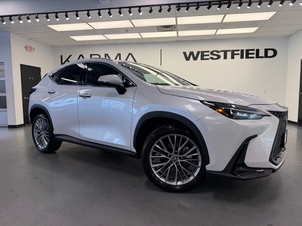 2024 LEXUS NX