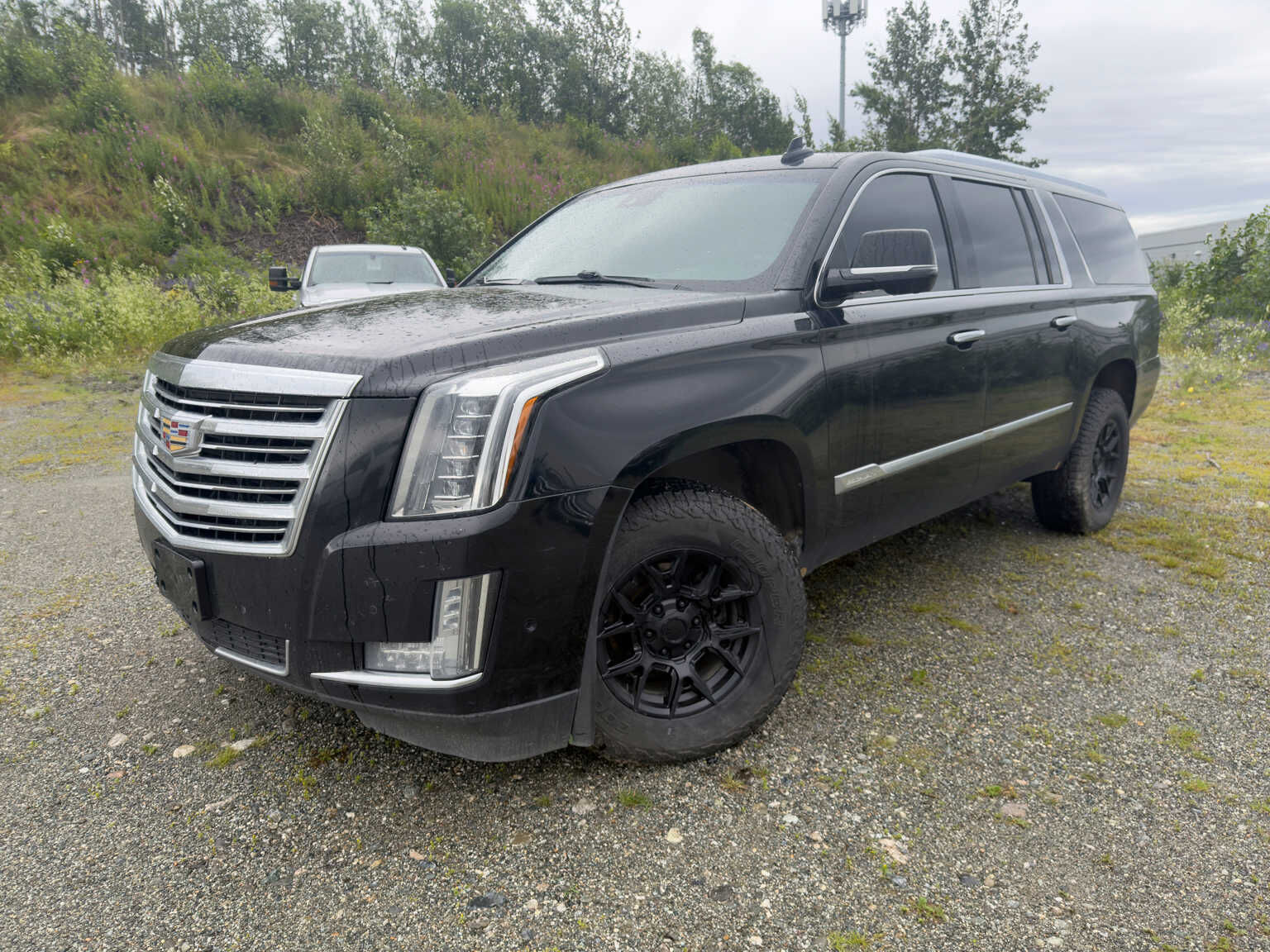 2020 CADILLAC Escalade ESV
