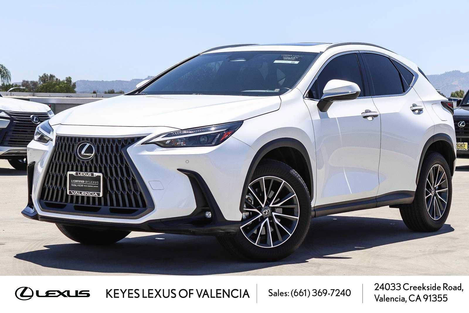 2025 LEXUS NX
