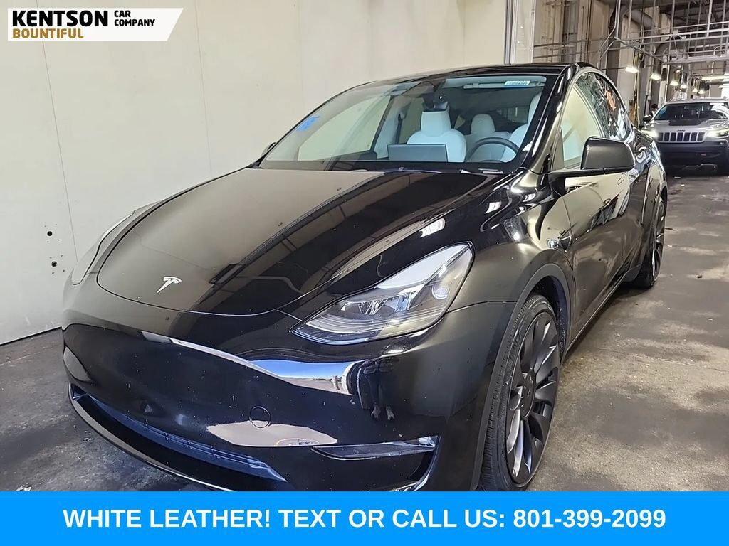 2024 TESLA Model Y
