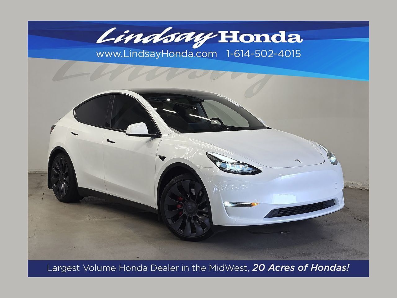 2024 TESLA Model Y