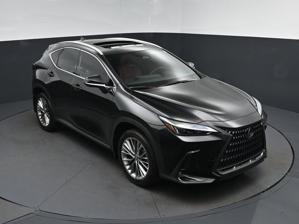 2025 LEXUS NX