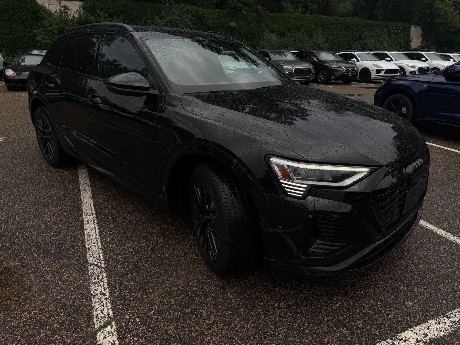 2024 AUDI Q8