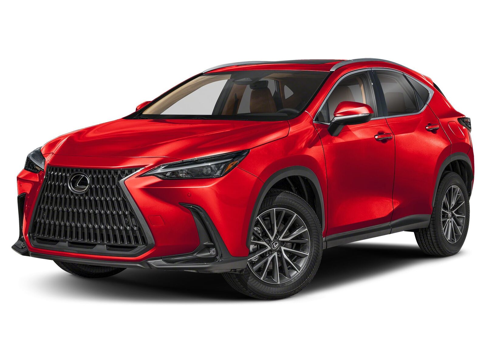 2025 LEXUS NX