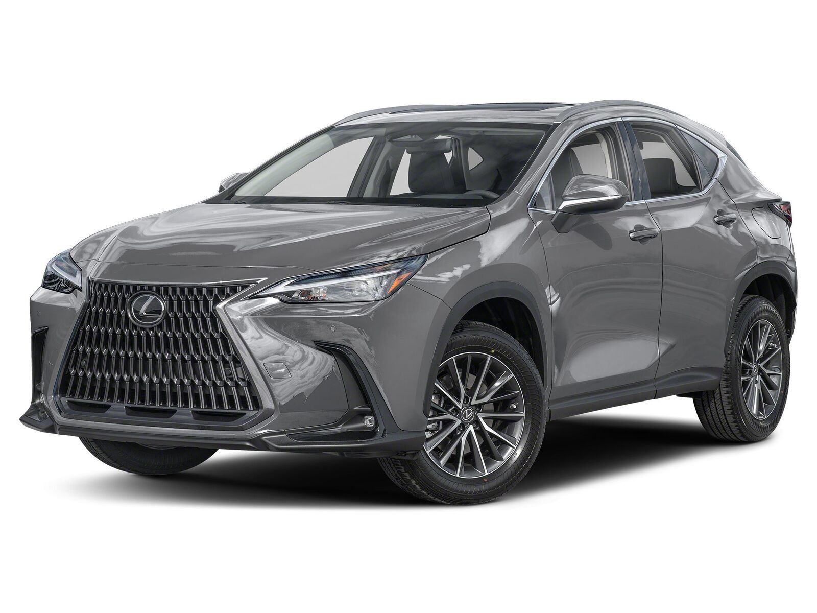 2025 LEXUS NX
