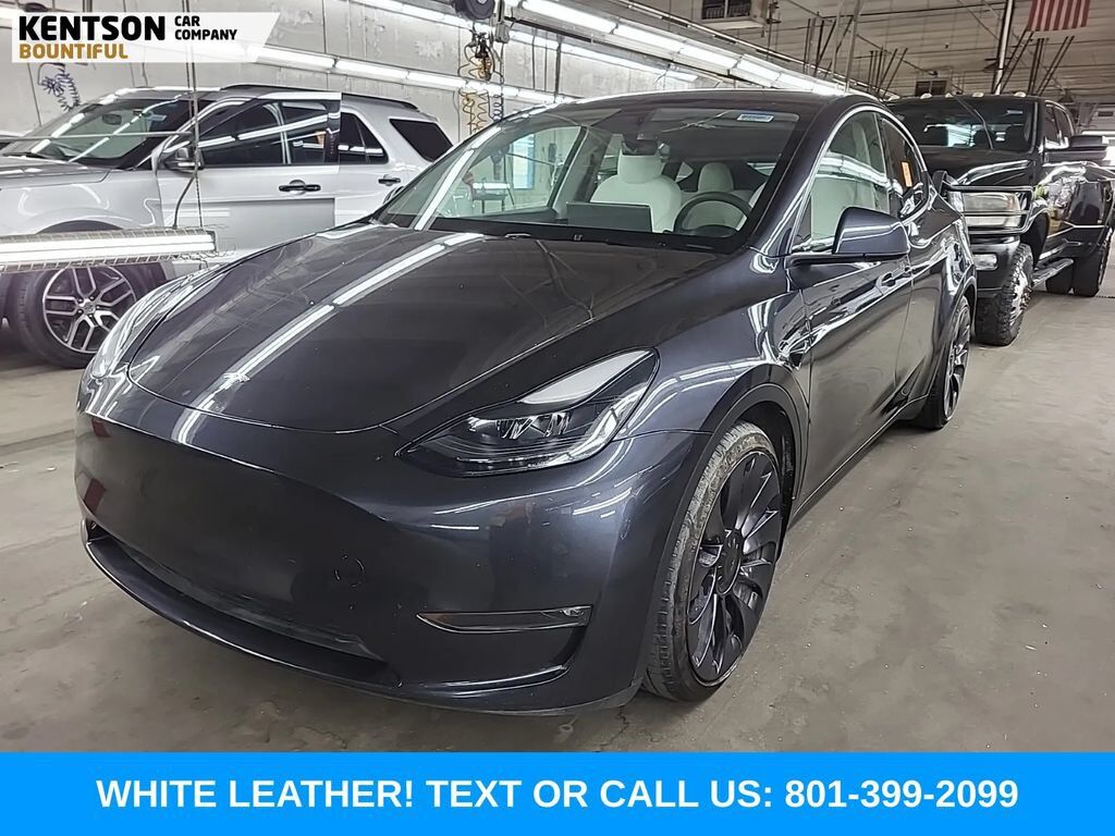 2024 TESLA Model Y