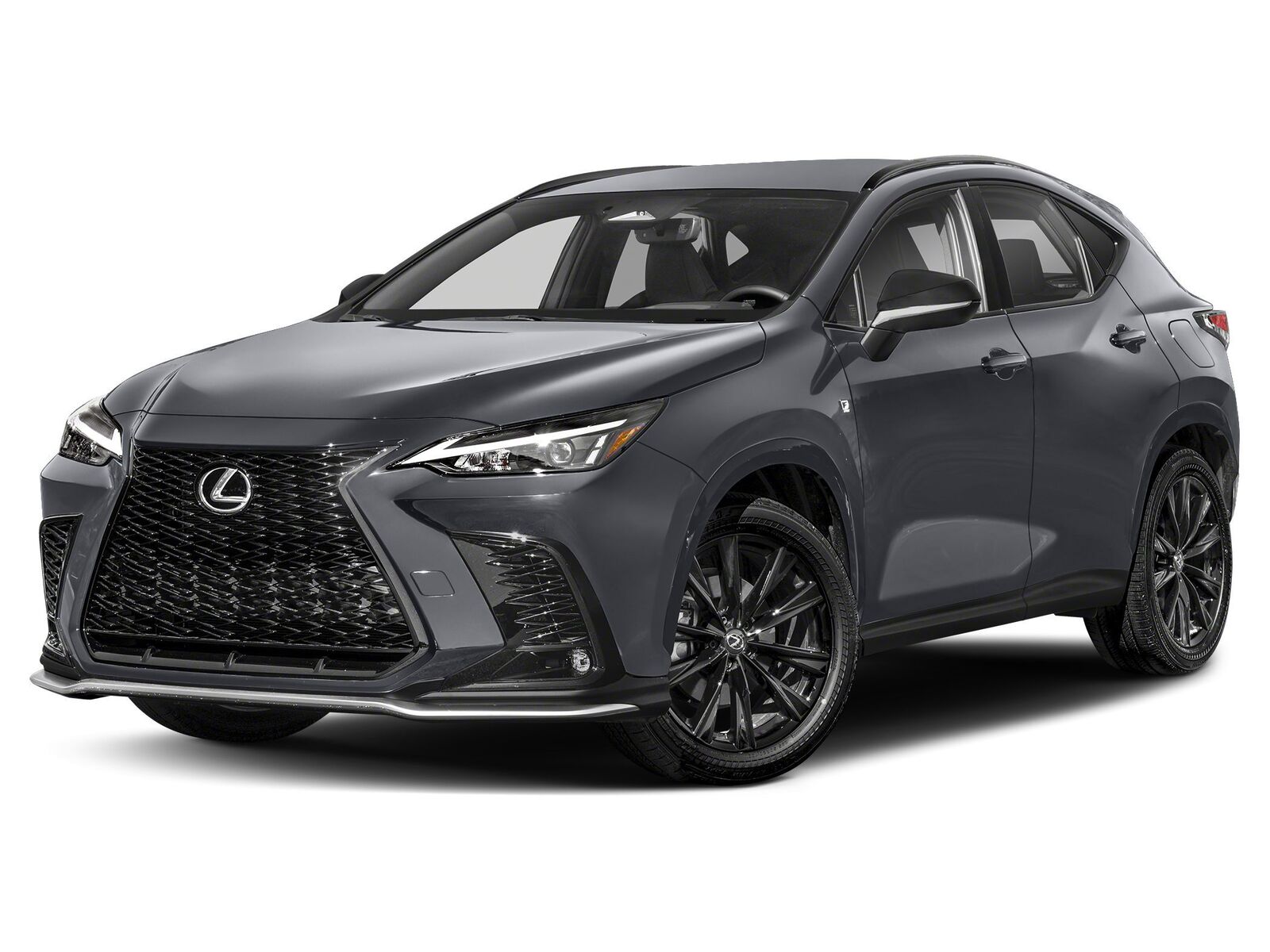 2024 LEXUS NX