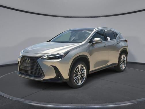 2026 LEXUS NX
