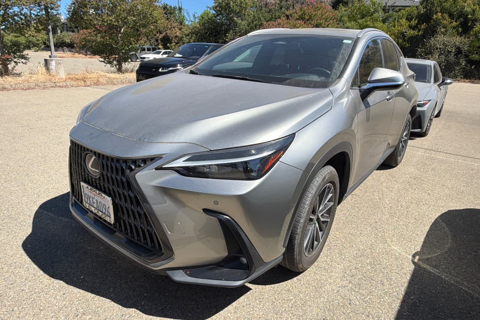 2024 LEXUS NX