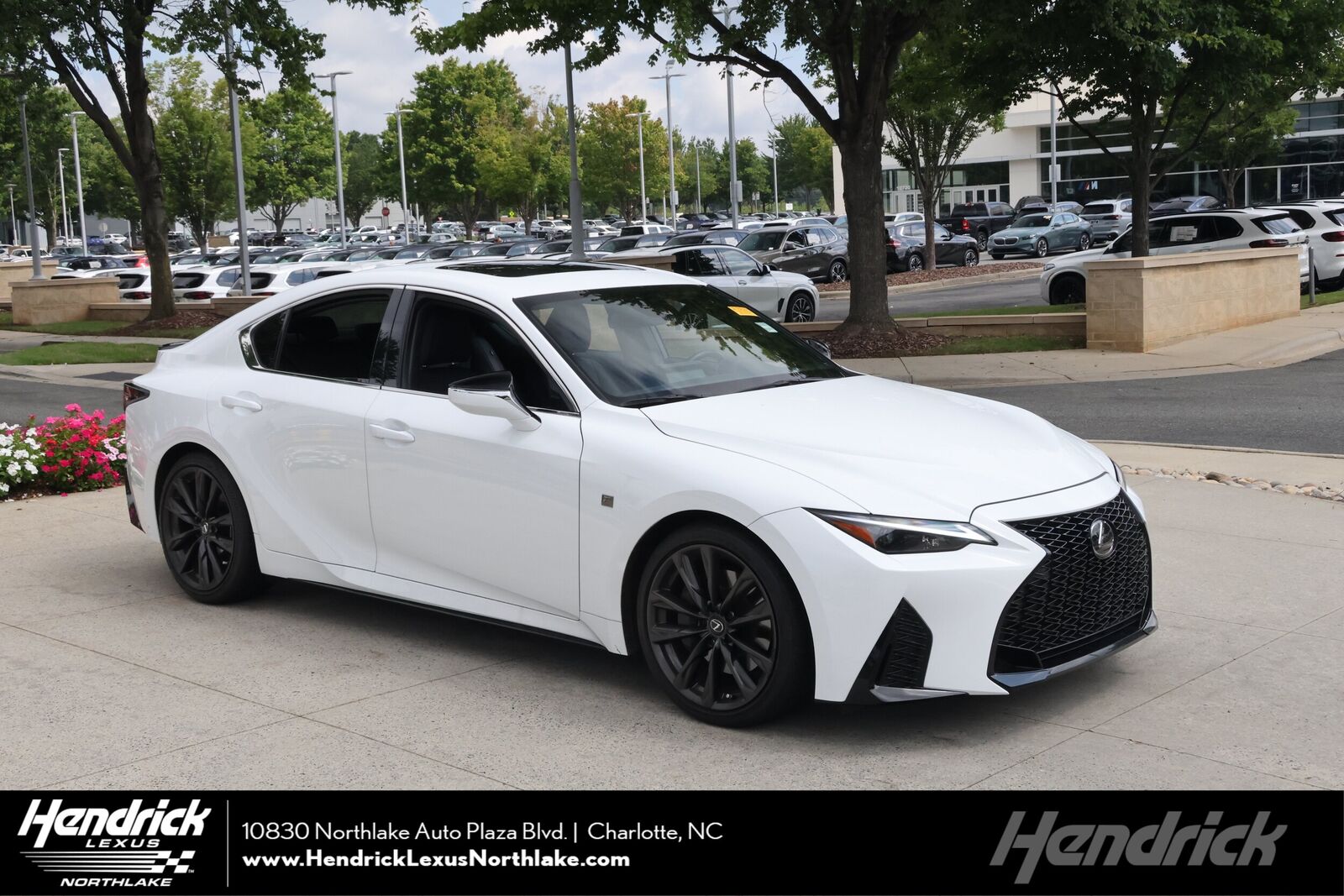 2024 LEXUS IS