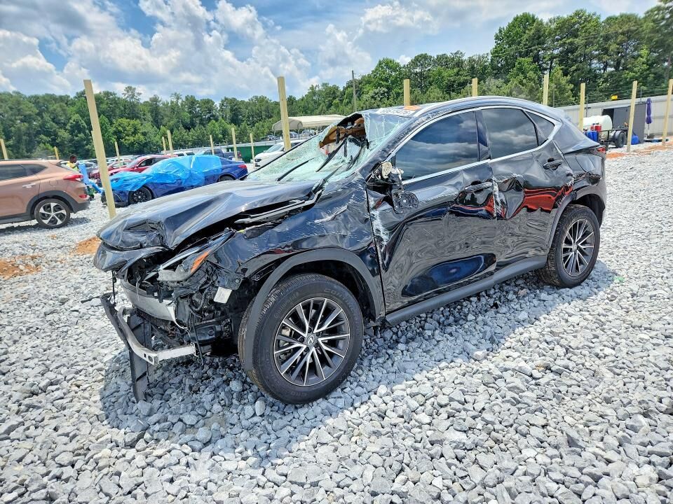 2024 LEXUS NX