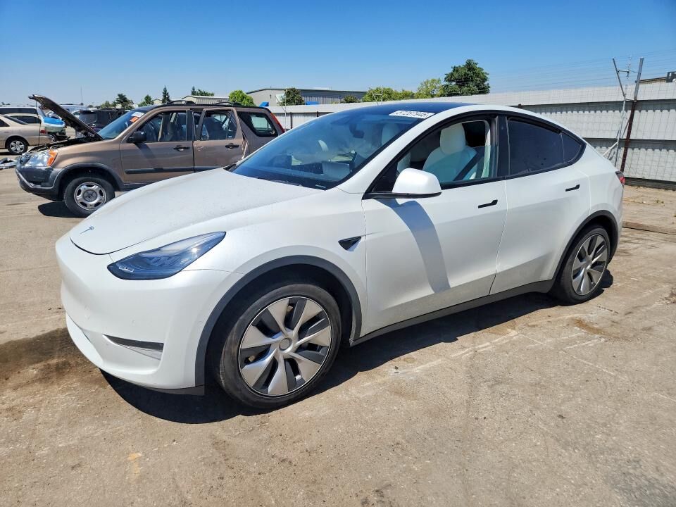2020 TESLA Model Y
