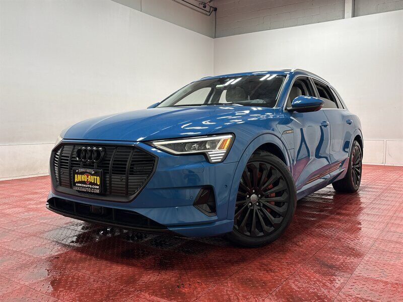2019 AUDI e-tron