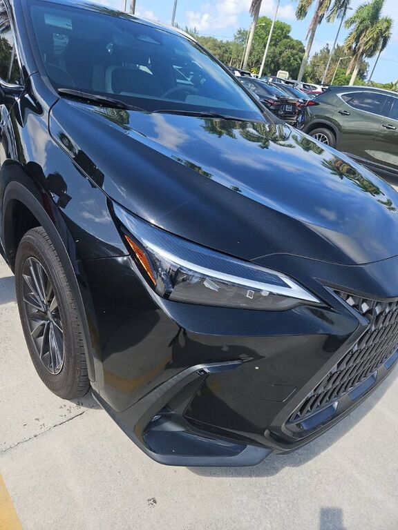 2024 LEXUS NX