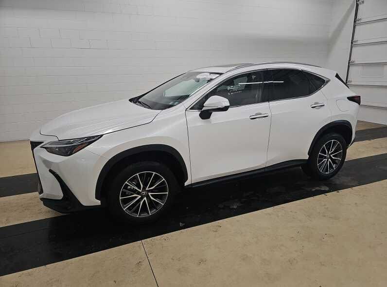 2024 LEXUS NX