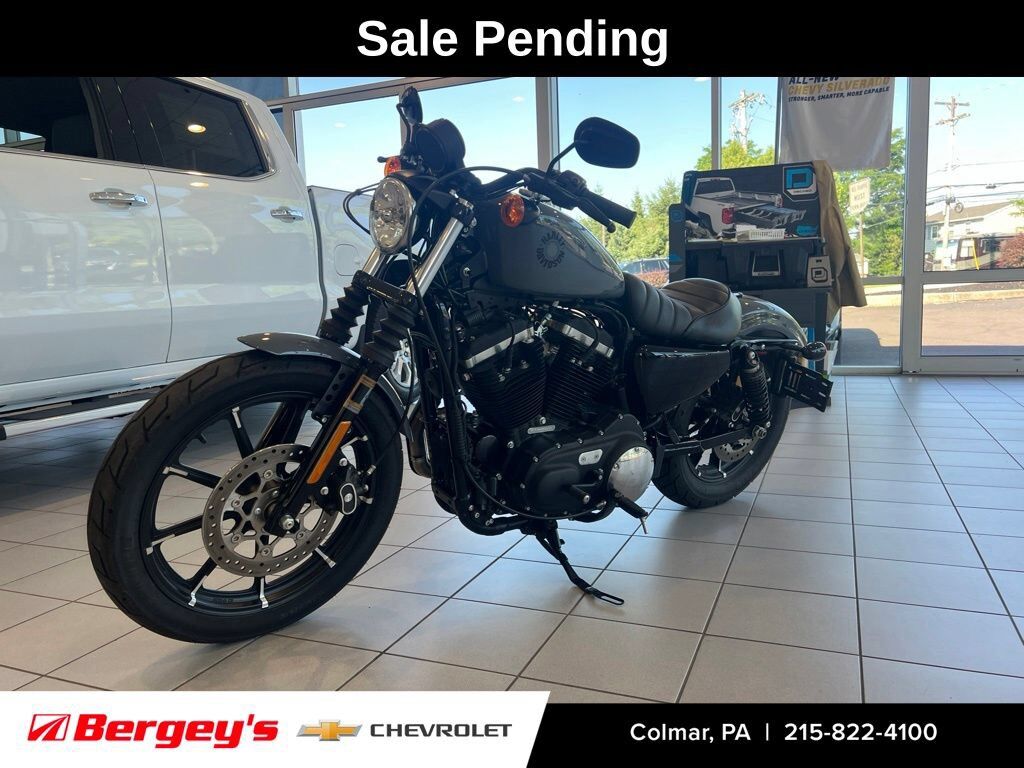 2022 HARLEY DAVIDSON Iron 883