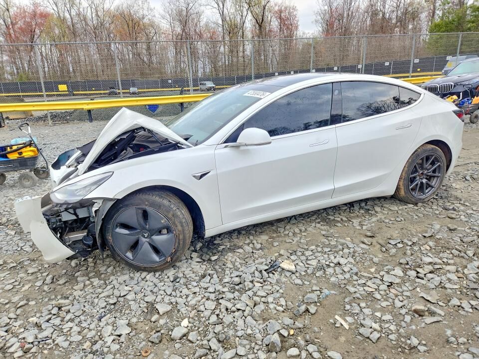 2019 TESLA Model 3