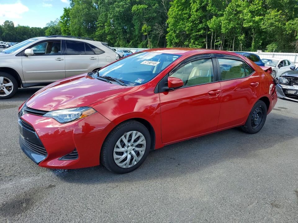 2019 TOYOTA Corolla