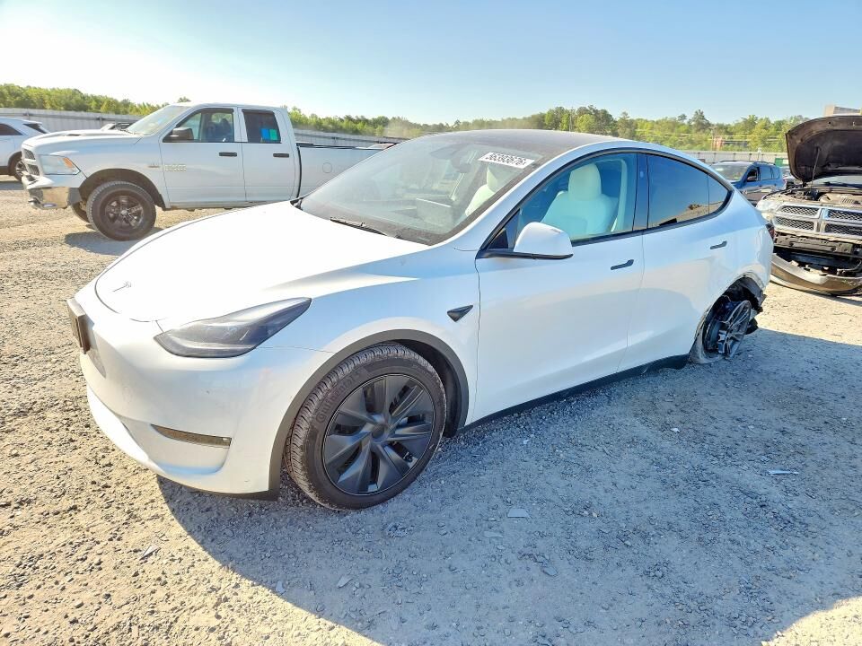 2024 TESLA Model Y