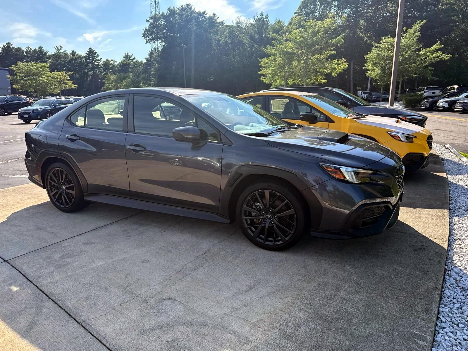 2023 SUBARU WRX