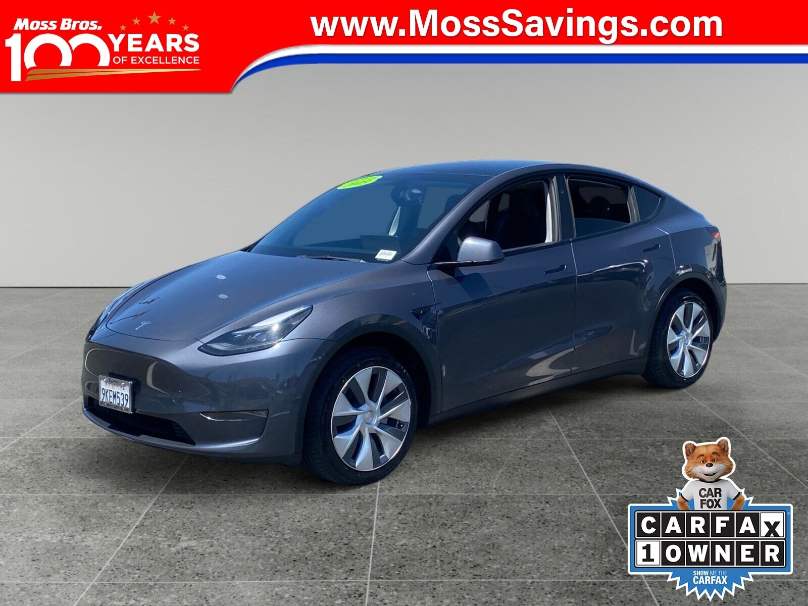 2023 TESLA Model Y