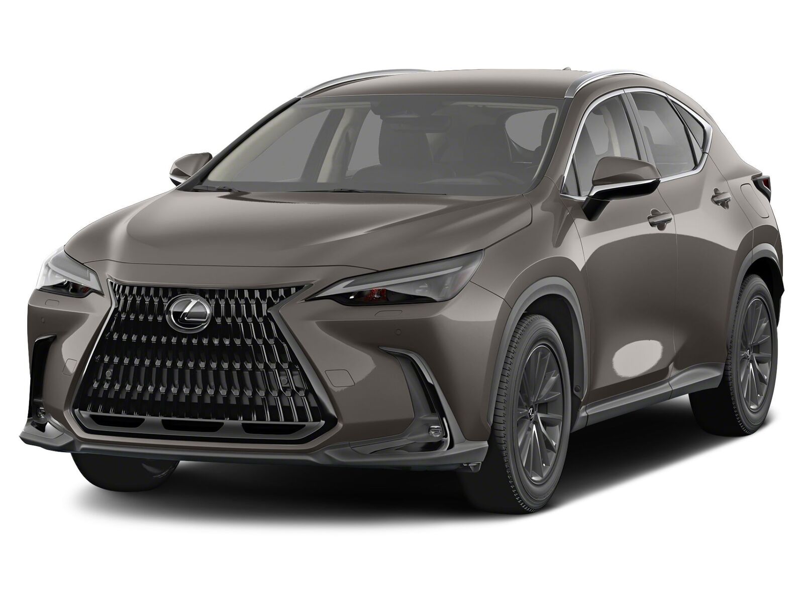 2024 LEXUS NX