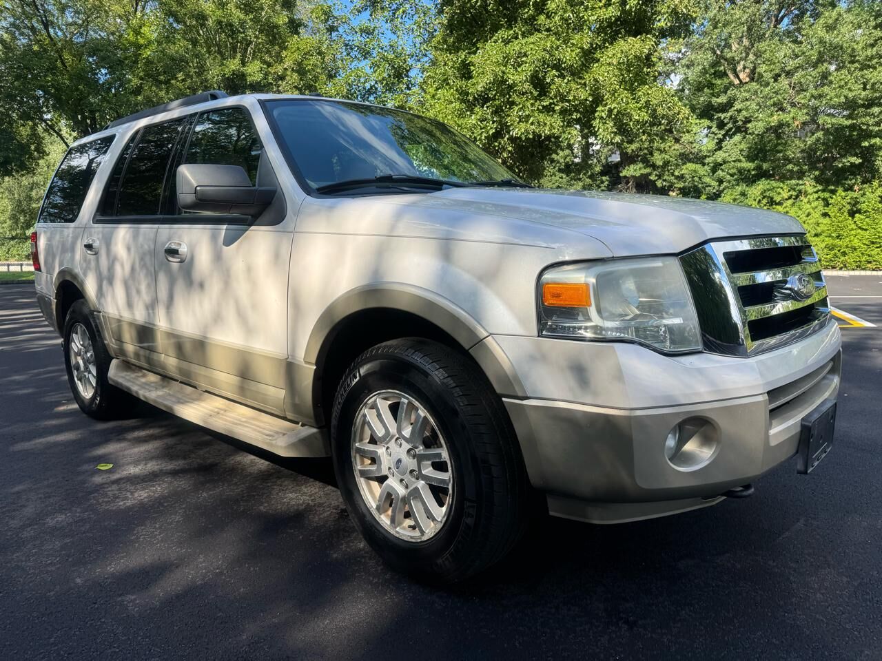 2010 FORD Expedition