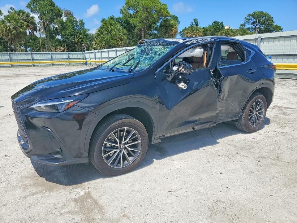 2025 LEXUS NX