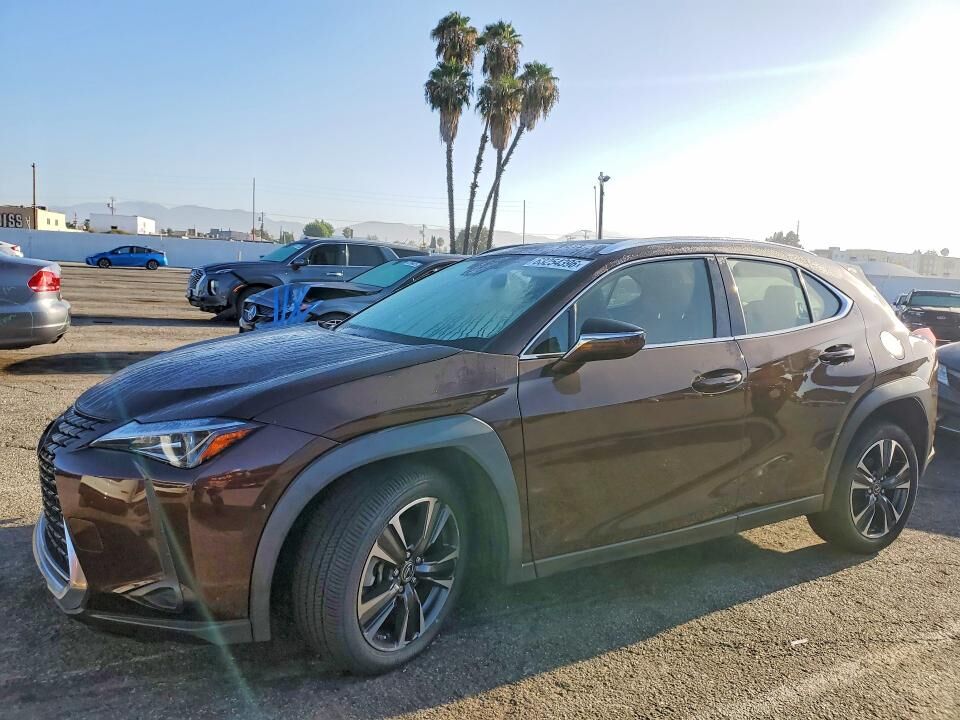 2019 LEXUS UX