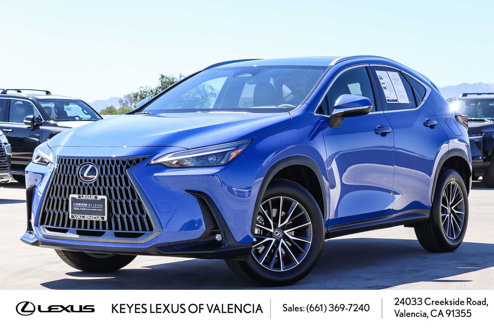 2024 LEXUS NX