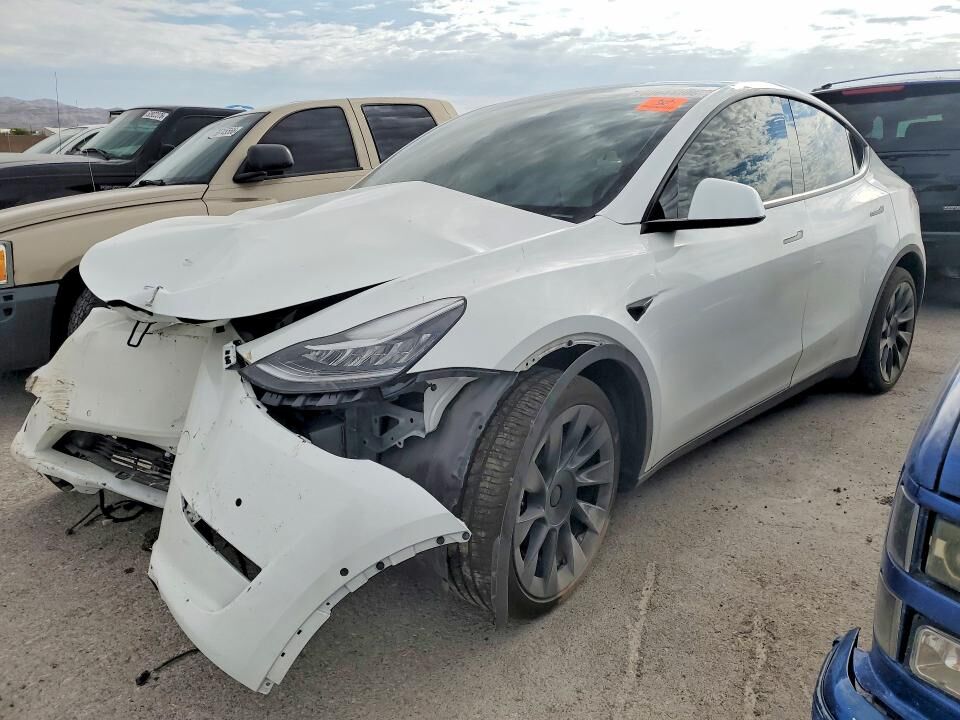 2020 TESLA Model Y