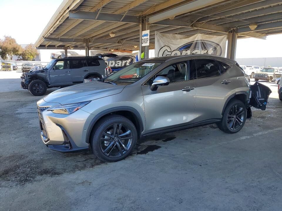 2026 LEXUS NX